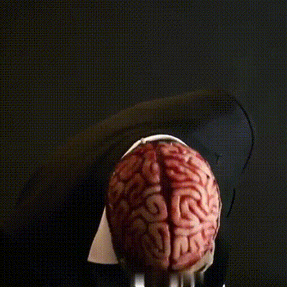 Skull Halloween Mask — Exposed Brain Detail Costume Face Cover 6