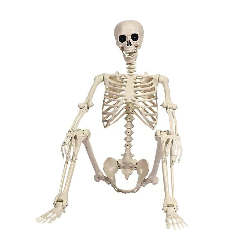 Life-Size Posable Skeleton Decoration — 67 in Indoor & Outdoor 5