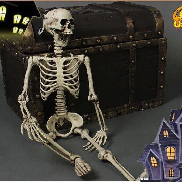 Life-Size Posable Skeleton Decoration — 67 in Indoor & Outdoor 4