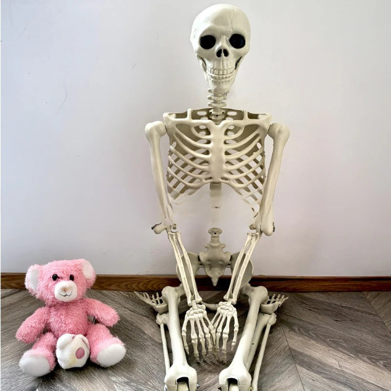 Life-Size Posable Skeleton Decoration — 67 in Indoor & Outdoor 2