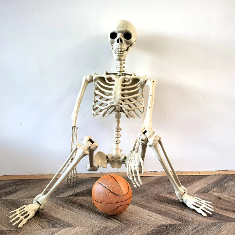 Life-Size Posable Skeleton Decoration — 67 in Indoor & Outdoor 1